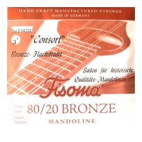 Thumbnail van Fisoma F3022C Consort 80/20 single pair of A strings for mandoline.