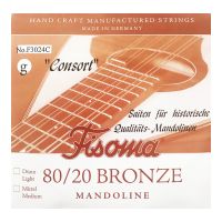 Thumbnail van Fisoma F3024C Consort 80/20 single pair of G strings for mandoline.