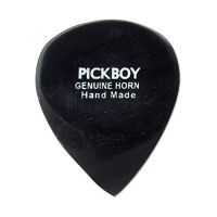 Thumbnail of Pickboy GPHN-1 Exotic Horn Pick